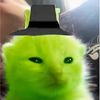 gary_thesock