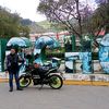 alfamaihy