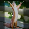 aurisonmonsitasilva