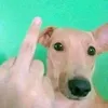 lua4_a