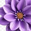 ruth59199