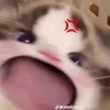missedluv187