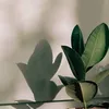 salma_73506