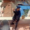 tinor_hakoge