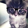 ch0c0catsanrio