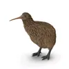 kiwi.man3