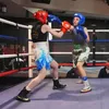 lewis_mack13