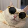 user5wc13jxnmw