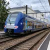 nolesko93200