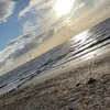 keeleysayers55