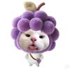 phyo39334