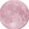 gioiaa_28