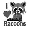 pickle_raccoon