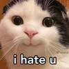 jxtz.matti._
