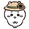 hinhintopi