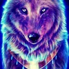 nico_diabolos971