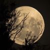 mythicmoonbeam