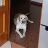 jesus.capitan