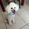 cory_bo