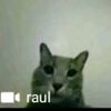 robamomos28