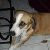 esmeraldogomesdea