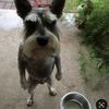 craig_dawson09