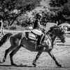 equestriad_7_