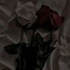 shahdmostafa018