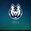 trya62_twitch