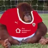 j4ffa_