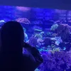 Celina