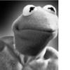 kermit2352