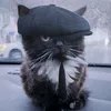 el_gatuno_corazon