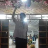 jayvee4000