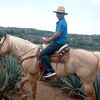 josegomez62784