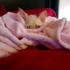 kathryns_girl