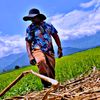 mabalathefarmer5