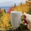 povesti.interesante5