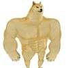 DOGE