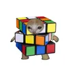 hulaanmoboy5