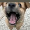 nganlyy00