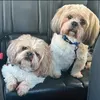 rhiannon_pinkpanda