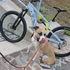 ruuudi94