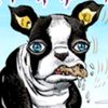 iggy.offical_account