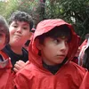 jere_12343