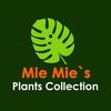 philodendron034