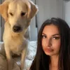 liv_0030