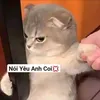 huynhgiaan1122