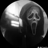 cameronkelly170