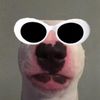 dinonugget99012